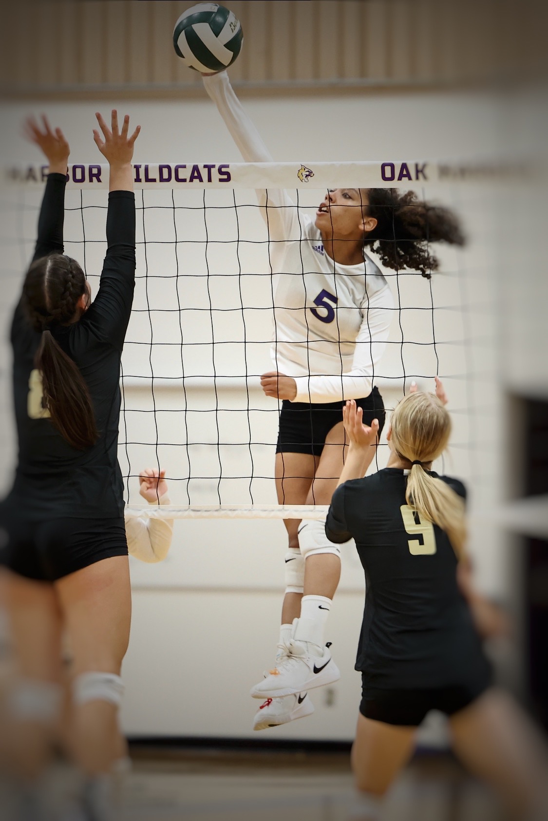  Adriana Lawrence: A Rising Volleyball Star Inspiring On and Off the Court